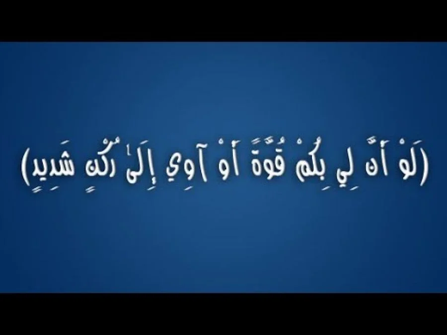 لو أنّ لي بكم قوّة - معاوية عبد الوهّاب - 29